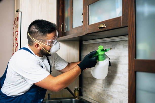 Insect Control in Newfield, NJ
