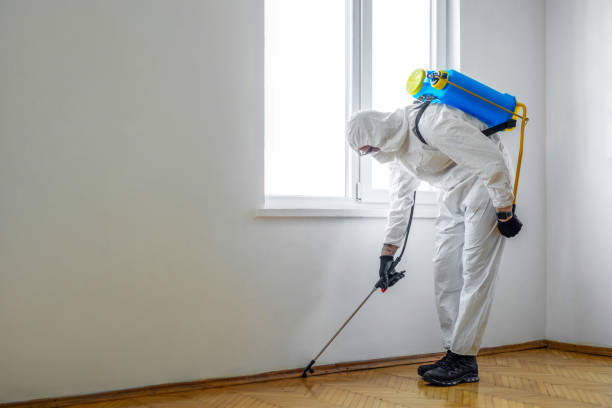 Best Pest Prevention Services  in Newfield, NJ