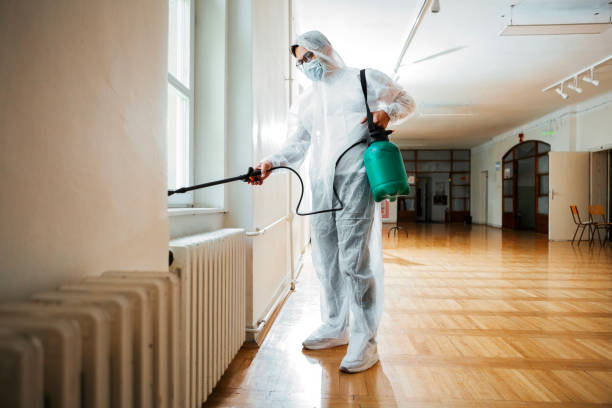 Best Termite Control Services  in Newfield, NJ
