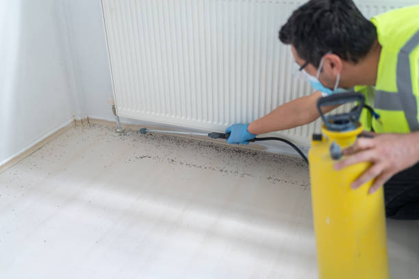Best Exterminator Services  in Newfield, NJ
