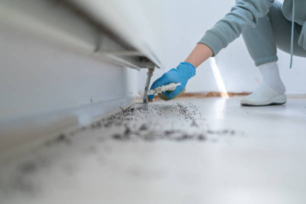 Best Pest Control for Homes  in Newfield, NJ