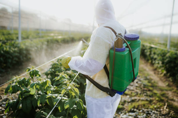 Best Commercial Pest Control Services  in Newfield, NJ